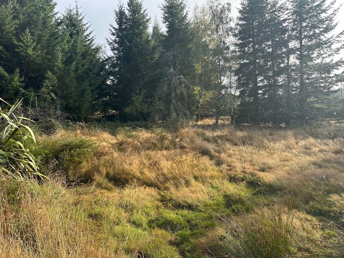 Nature's Retreat - Widok 3