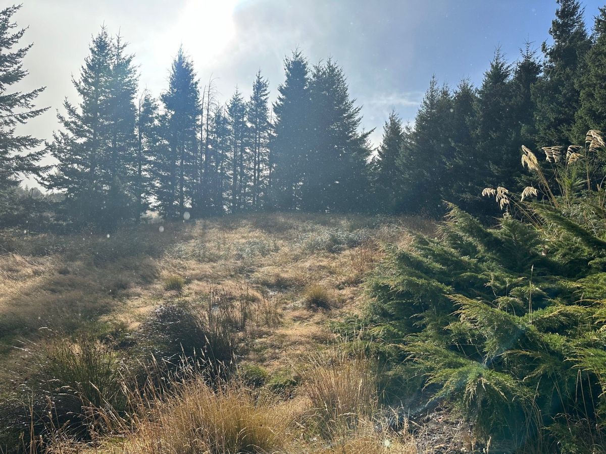 Nature's Retreat - Więcej