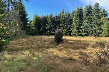 1 Mt Lyford Avenue, Lyford