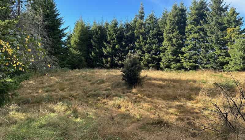 1 Mt Lyford Avenue, Lyford