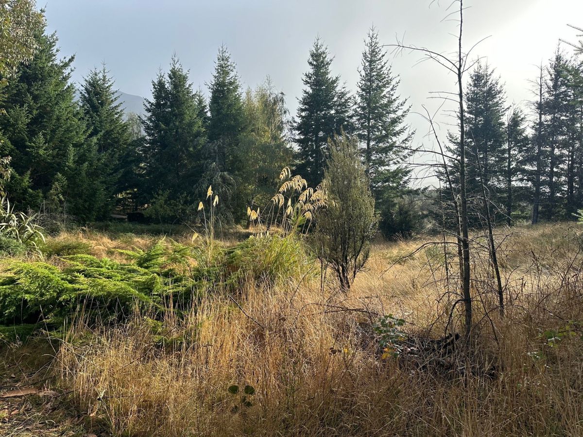 Nature's Retreat - Widok 2
