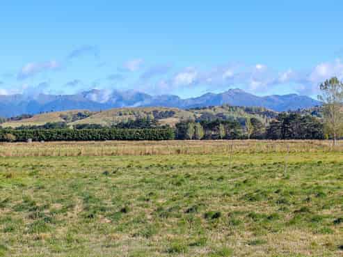 91 Budd Road, Upper Plain