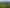 59 Poland Street, Waikino
