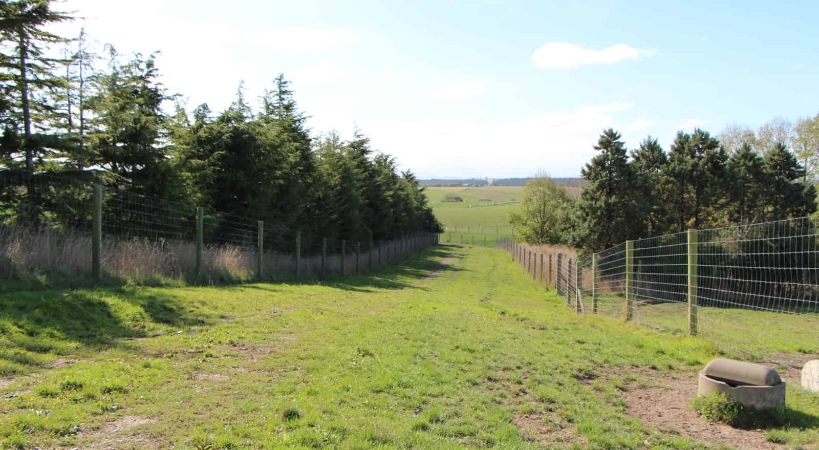 King Road, Hadlow, Timaru For Sale realestate.co.nz