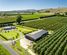 5 West Road, Havelock North, Hastings, Hawkes Bay