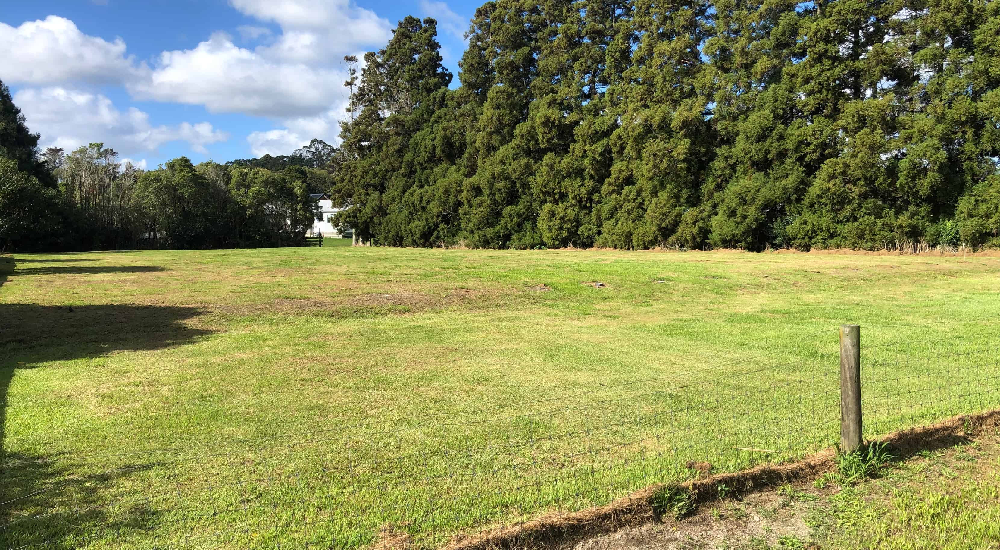 970 Kahikatea Flat Road, Waitoki, Rodney For Sale realestate.co.nz