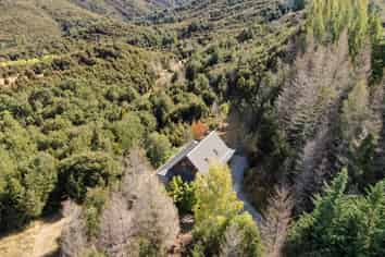 227 Mt Lyford Forest Drive, Lyford