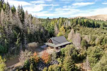 227 Mt Lyford Forest Drive, Lyford