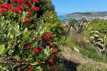  Derwent Street, Oamaru