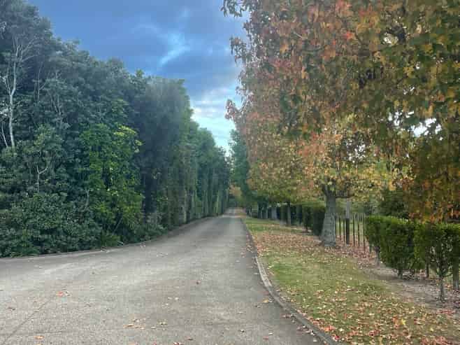 26 Mahoenui Valley Road, Coatesville