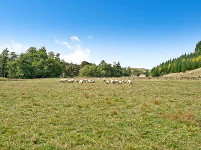 739 Matahiwi Road, Masterton