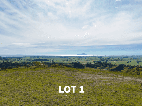 220 Withy Road, Matata