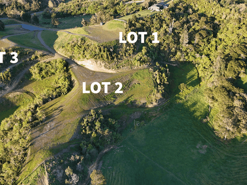 220 Withy Road, Matata
