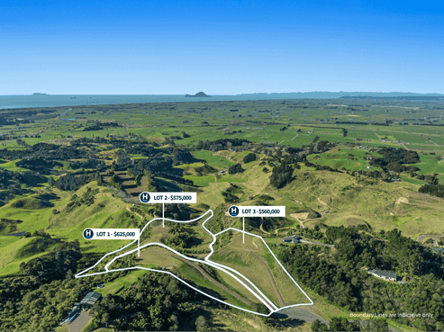 230 Withy Road, Matata