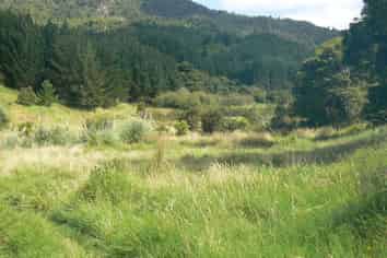  Takahue Saddle Rd, Broadwood