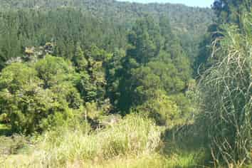  Takahue Saddle Rd, Broadwood