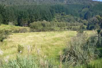  Takahue Saddle Rd, Broadwood