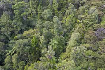Lot 6 609B Peria Road, Peria