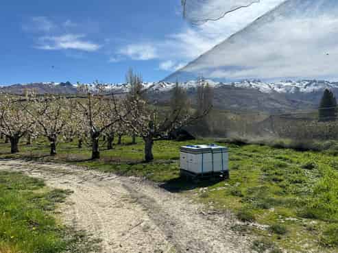 6 Mt Pisa Road, Cromwell