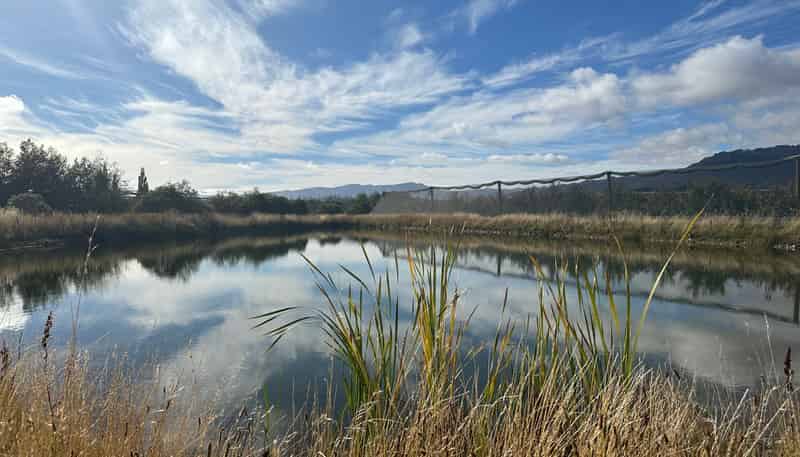 6 Mt Pisa Road, Cromwell