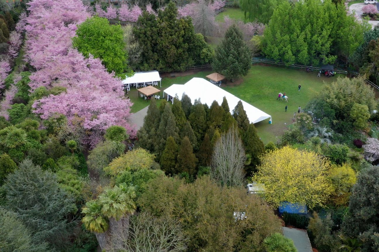 English Cherry Tree Manor - Vista 3
