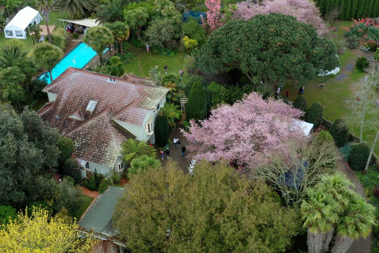 English Cherry Tree Manor - Vista 2