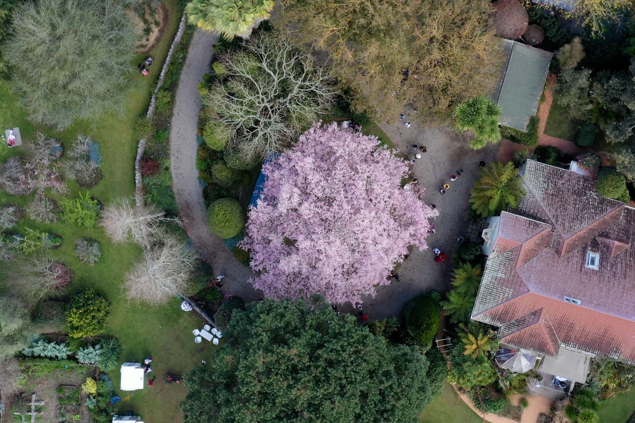 English Cherry Tree Manor - Vista 4
