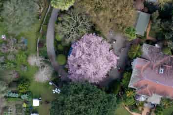 English Cherry Tree Manor