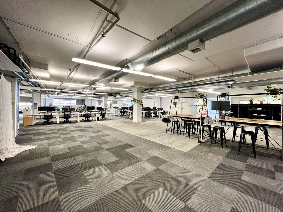 Ground floor haven - Your own floor on Augustus - Ansicht 3