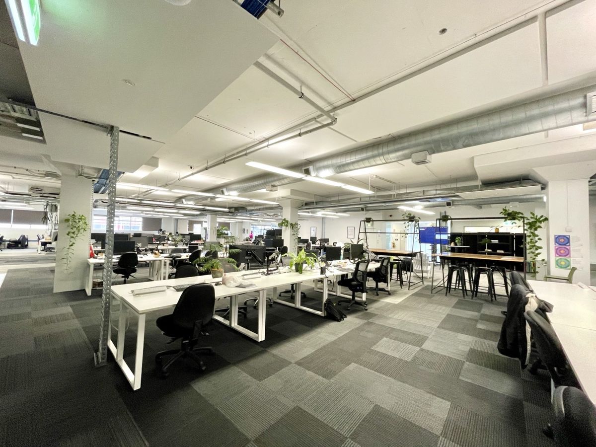 Ground floor haven - Your own floor on Augustus - Ansicht 4