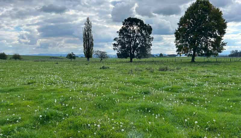 576C Mangawhero Road, Otorohanga