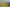 Auckland - Address withheld