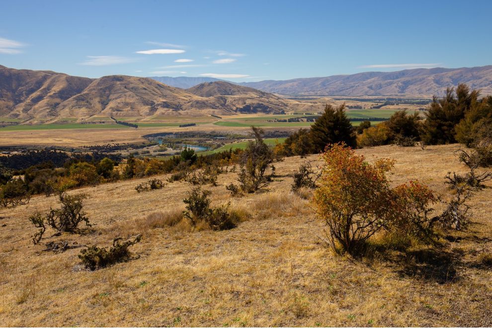 Lot 19 Pukekowhai Drive, Queensberry, Central Otago For Sale realestate.co.nz