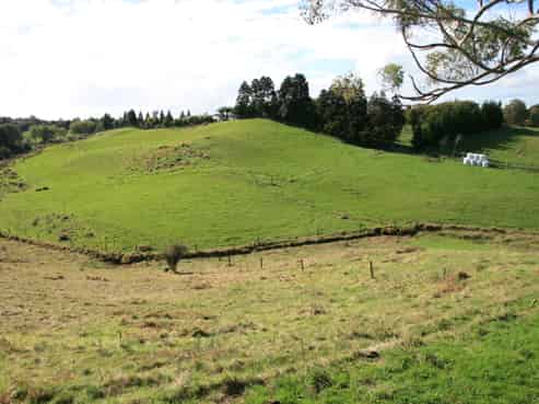 556 Mangorei Road, Mangorei