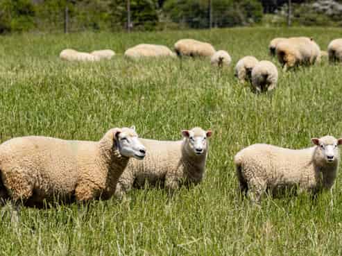 69 Titirangi Road, Kenepuru Sound