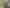 Land Development Opportunity - Central Dunedin