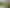 Land Development Opportunity - Central Dunedin