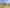 Land Development Opportunity - Central Dunedin