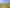 Land Development Opportunity - Central Dunedin