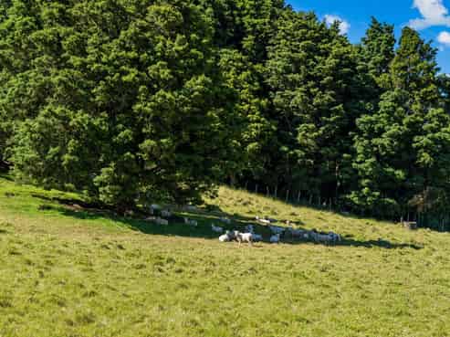 75 Snooks Road, Maungatapere
