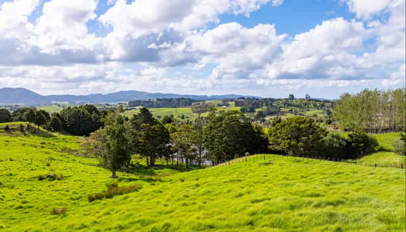 89 Tawa Avenue, Kaiwaka