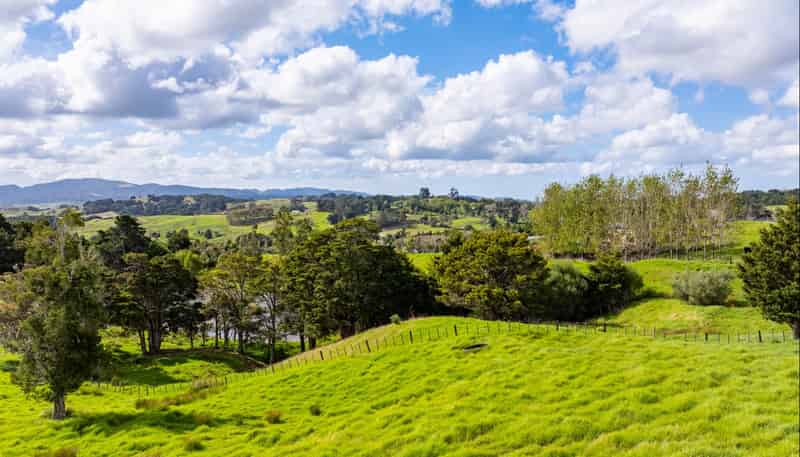 89 Tawa Avenue, Kaiwaka