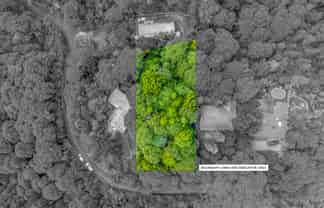 82 Mountain Road, Henderson Valley