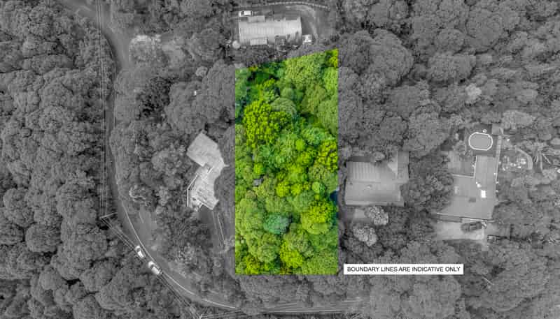 82 Mountain Road, Henderson Valley