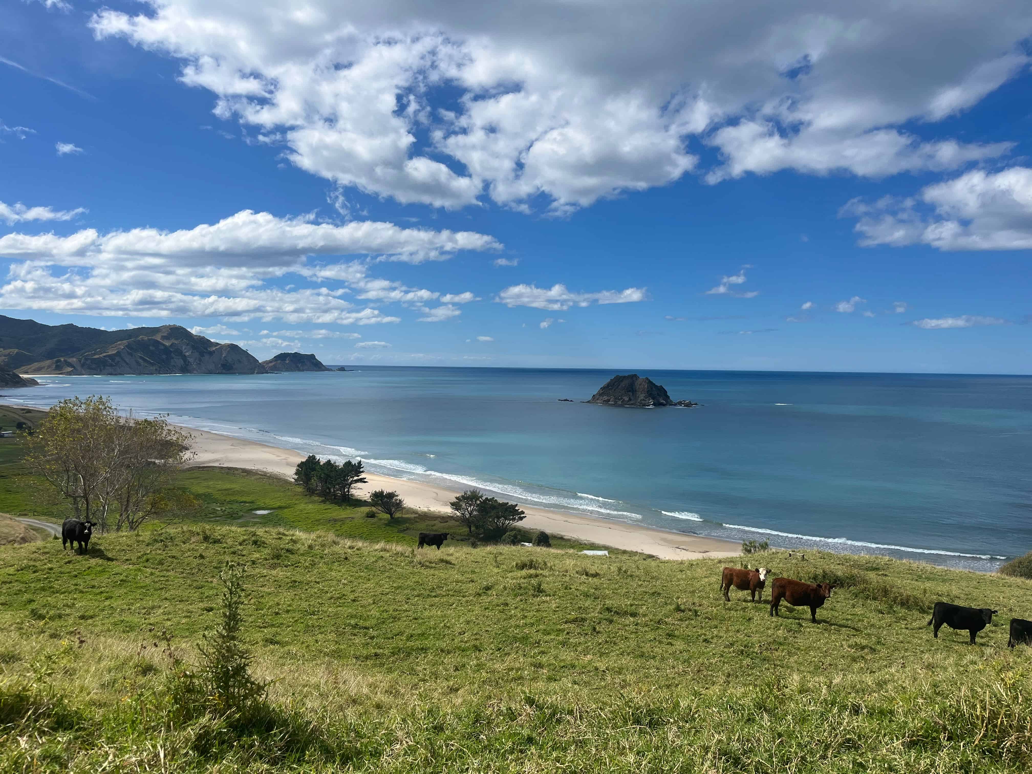 Tolaga Bay Homes and Real Estate for Sale realestate.co.nz