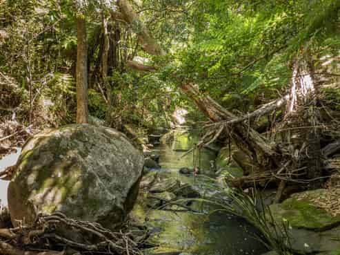 Lot 25 104 Taiwawe Lane, Hot Water Beach