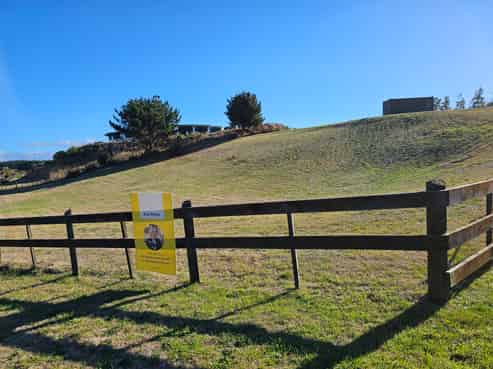 3 Quail Way, Waitarere