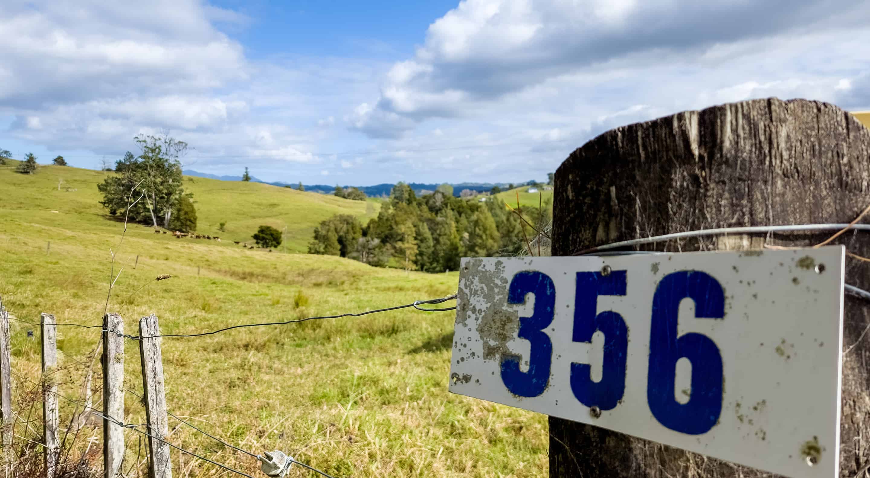 356 Te Tio Road, Umawera, Far North For Sale realestate.co.nz