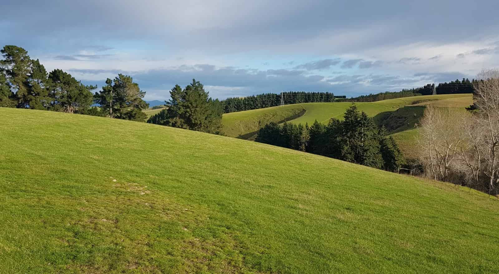 241 Hillend Road, Hillend, Clutha For Sale realestate.co.nz