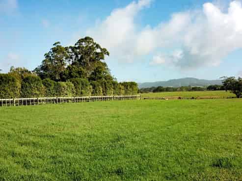 41 Rosythe Road, Waipu